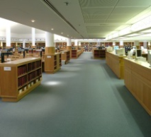 Commercial Carpet